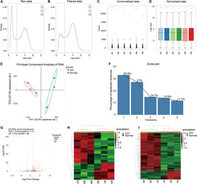 Integration of Transcriptome Resequencing and Quantitative Proteomics Analyses of Collagenase VII-Induced Intracerebral Hemorrhage in Mice